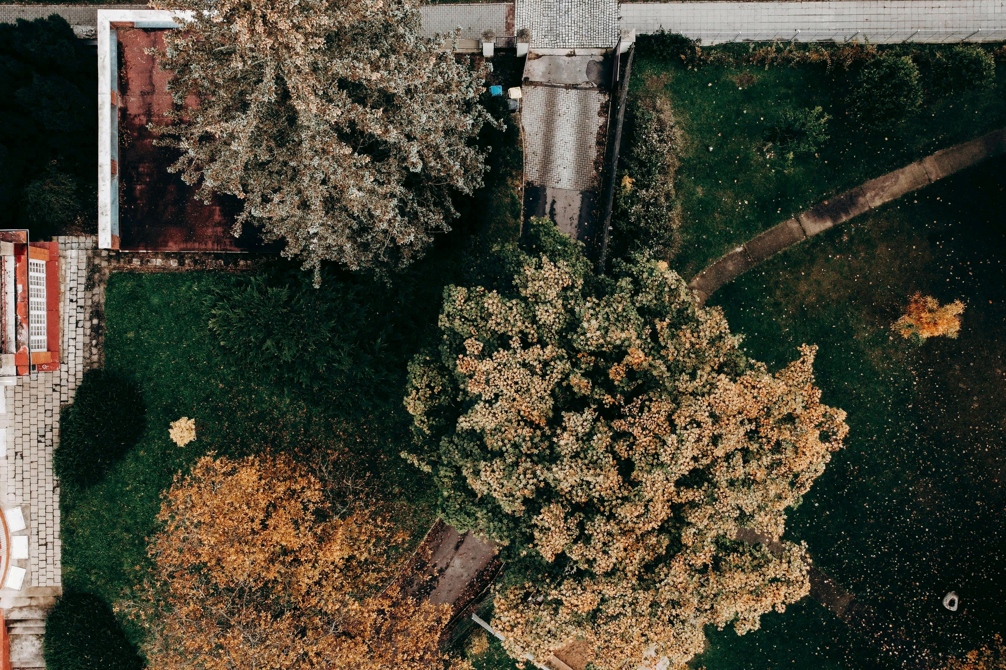 Top-Rated Rat Control in Dunwoody, Georgia: Cost, Treatment & Tips 2 A lone rat scurrying across a suburban backyard at dusk