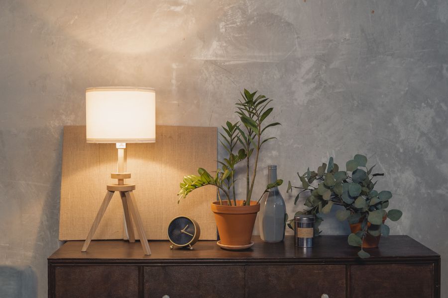 Contemporary dresser setup with plants and a lamp