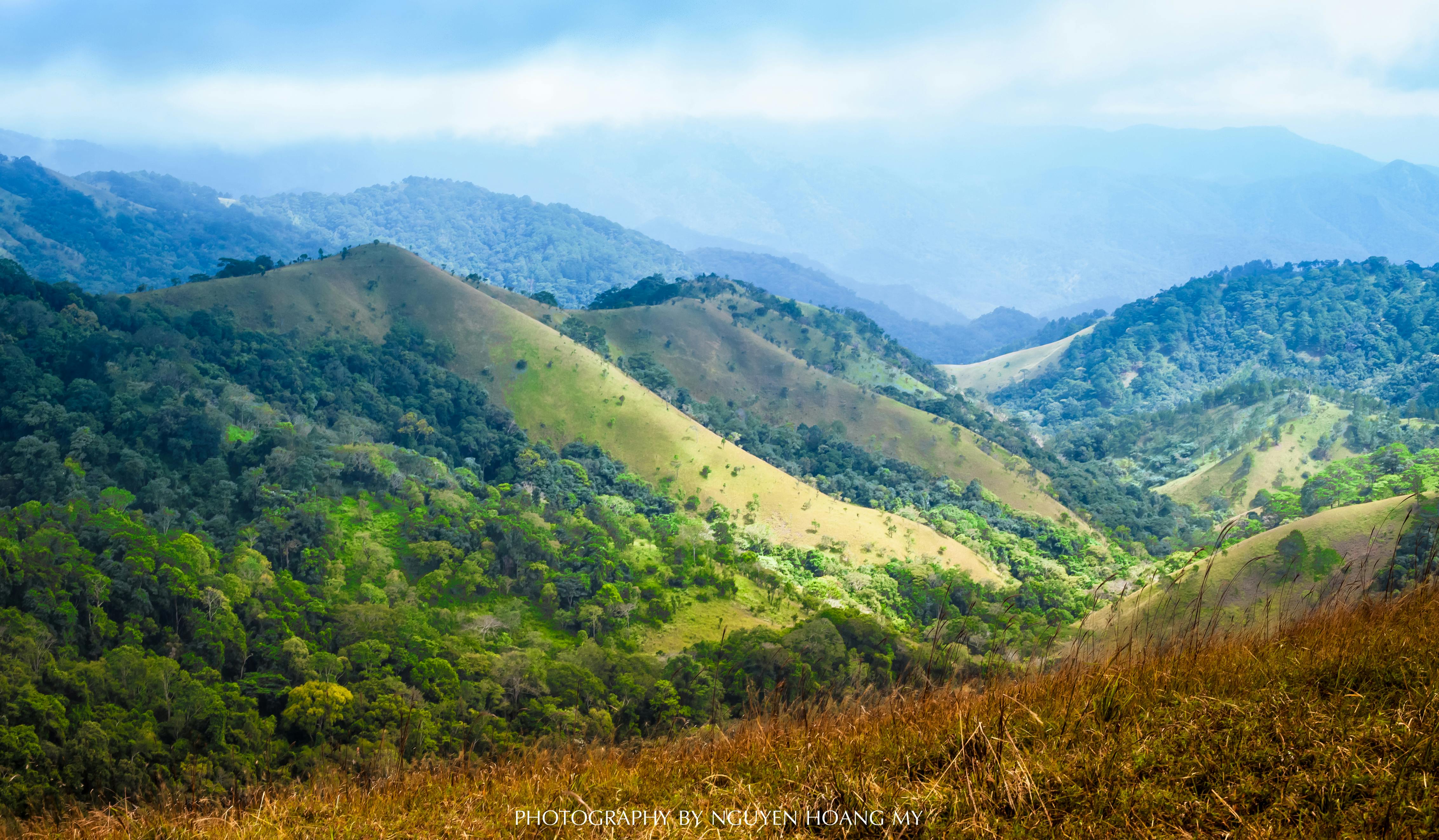 カプセルワードローブガイド