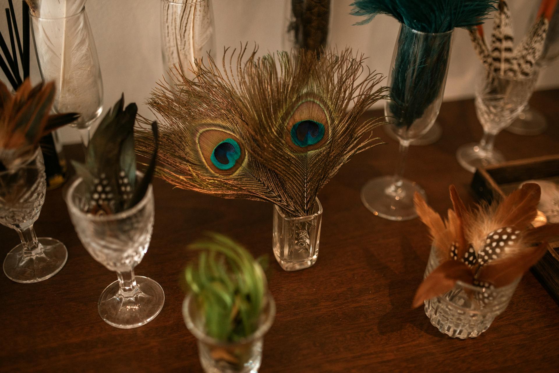 Stunning display of peacock feathers in crystal glasses, perfect for luxury decor.