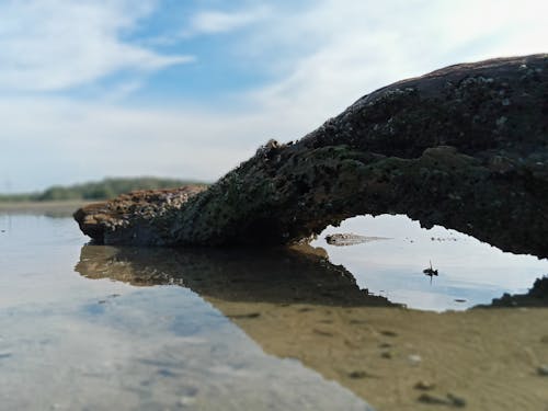 Free stock photo of nature, sky, water