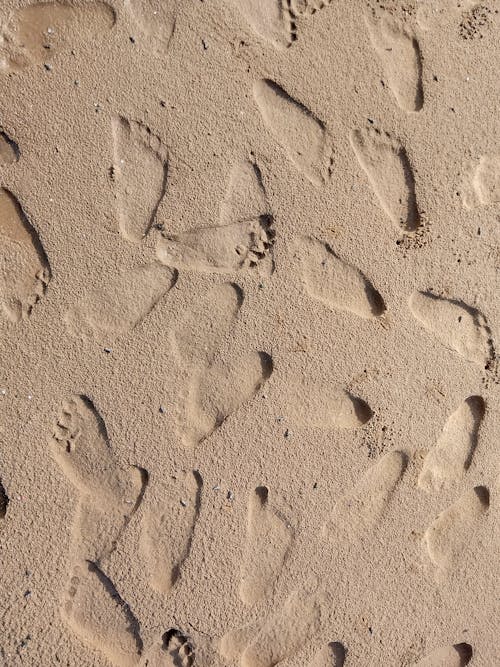 Free stock photo of beach, foots, footstep