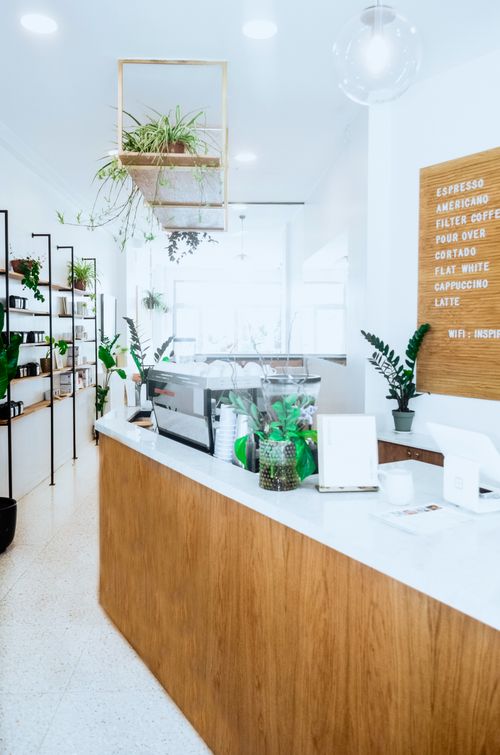 Free Interior of contemporary cafe with white walls and wooden elements and green potted plants Stock Photo