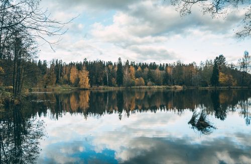 Free Picturesque view of rippled river against lush green and golden trees under fluffy clouds in fall season Stock Photo
