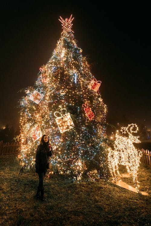 Woman in Black Coat Standing Near A Big Christmas Tree With String Lights during Night Time