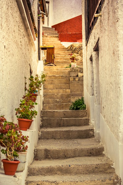 Gray Concrete Stair