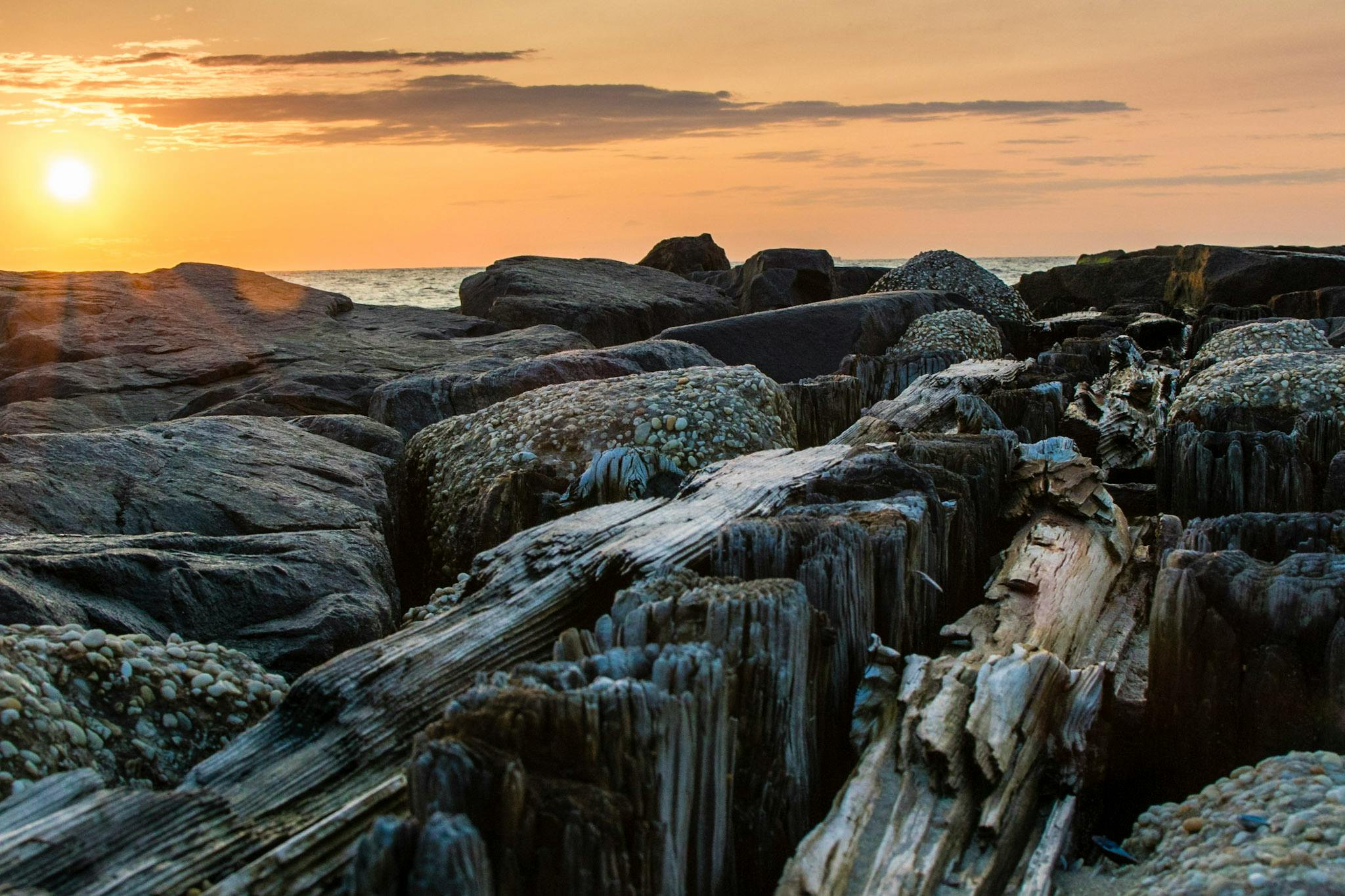 Free stock photo of beach, jetty, ocean