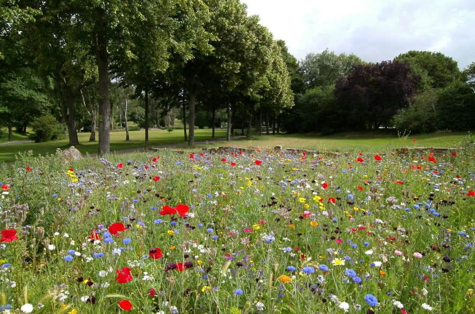 Landscape Photography of Flower Garden