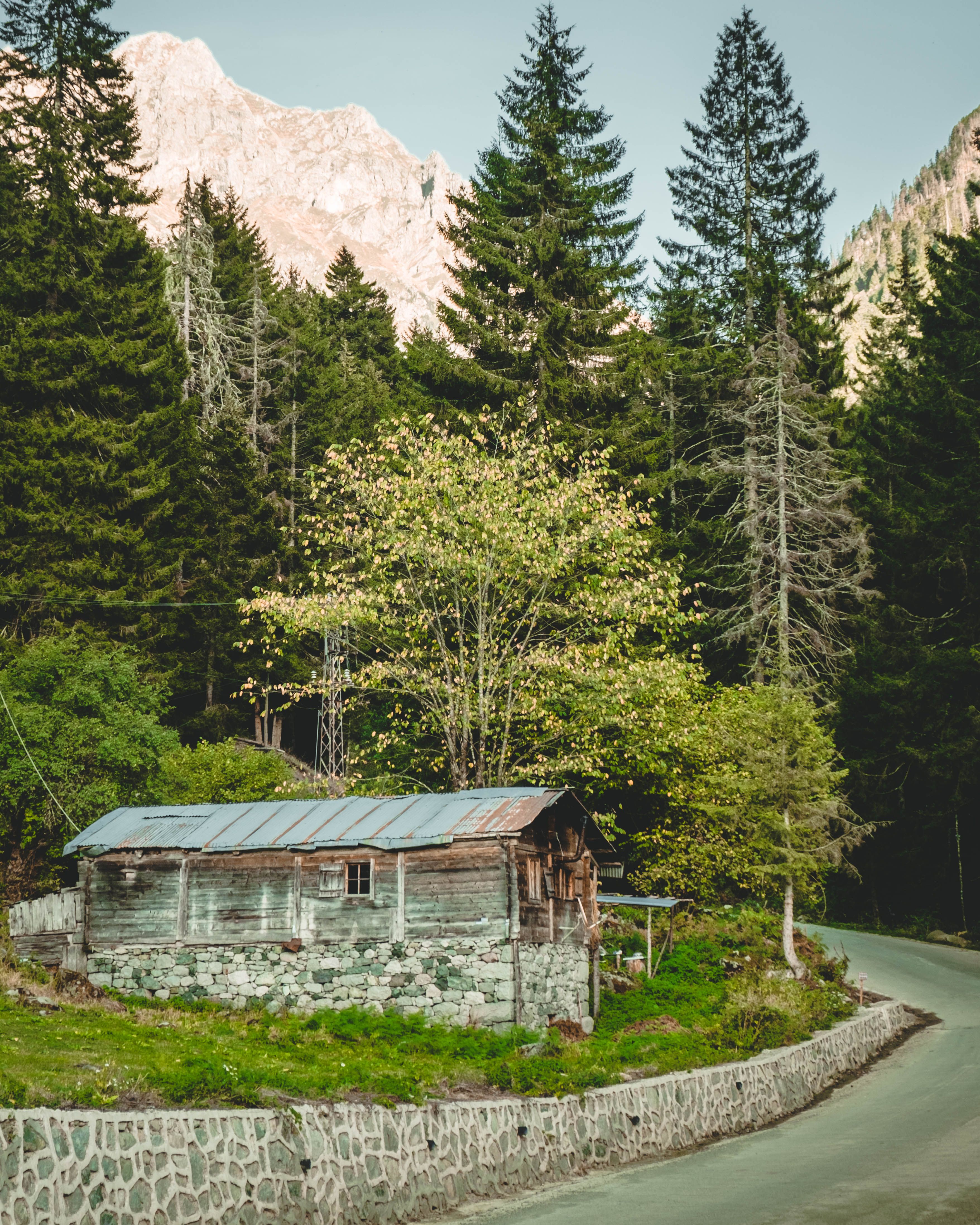 Brown Wooden House Near Green Trees and Mountain · Free Stock Photo