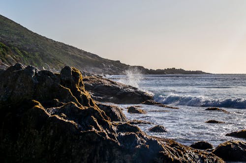 Gratis lagerfoto af bjerg, bølger, Cape Town