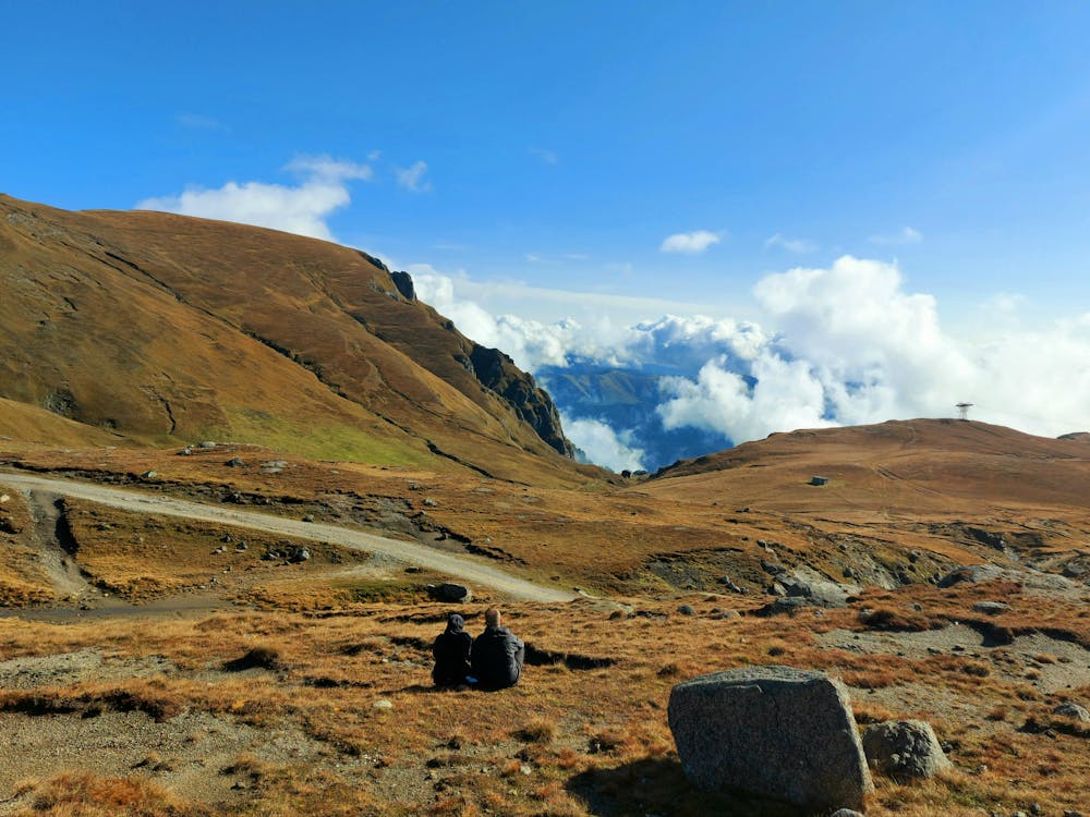 Free Back View of a Couple Sitting on Brown Grass Stock Photo