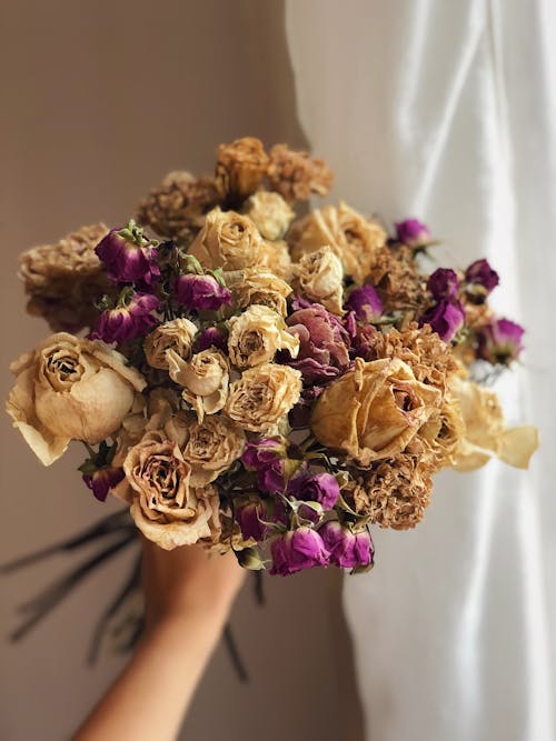 Free Photos gratuites de bouquet, fleurs séchées, floral Stock Photo