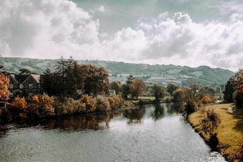 Immagine gratuita di alberi, fiume, natura