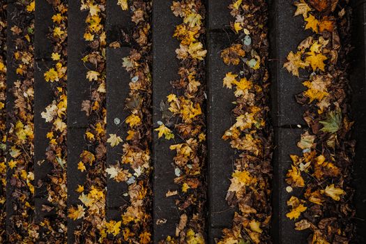 Yellow Fallen Leaves on a Staircase