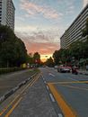 A Moving Cars on the Road Between Buildings
