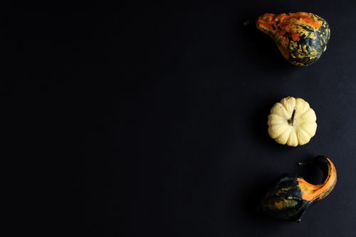 Free Three colorful gourds on black background, perfect for fall themes and copy space needs. Stock Photo
