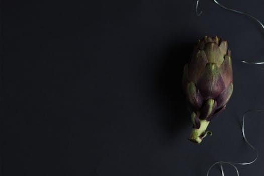 黑暗中的朝鲜蓟仍具生机，黑色背景凸显其纹理与形态