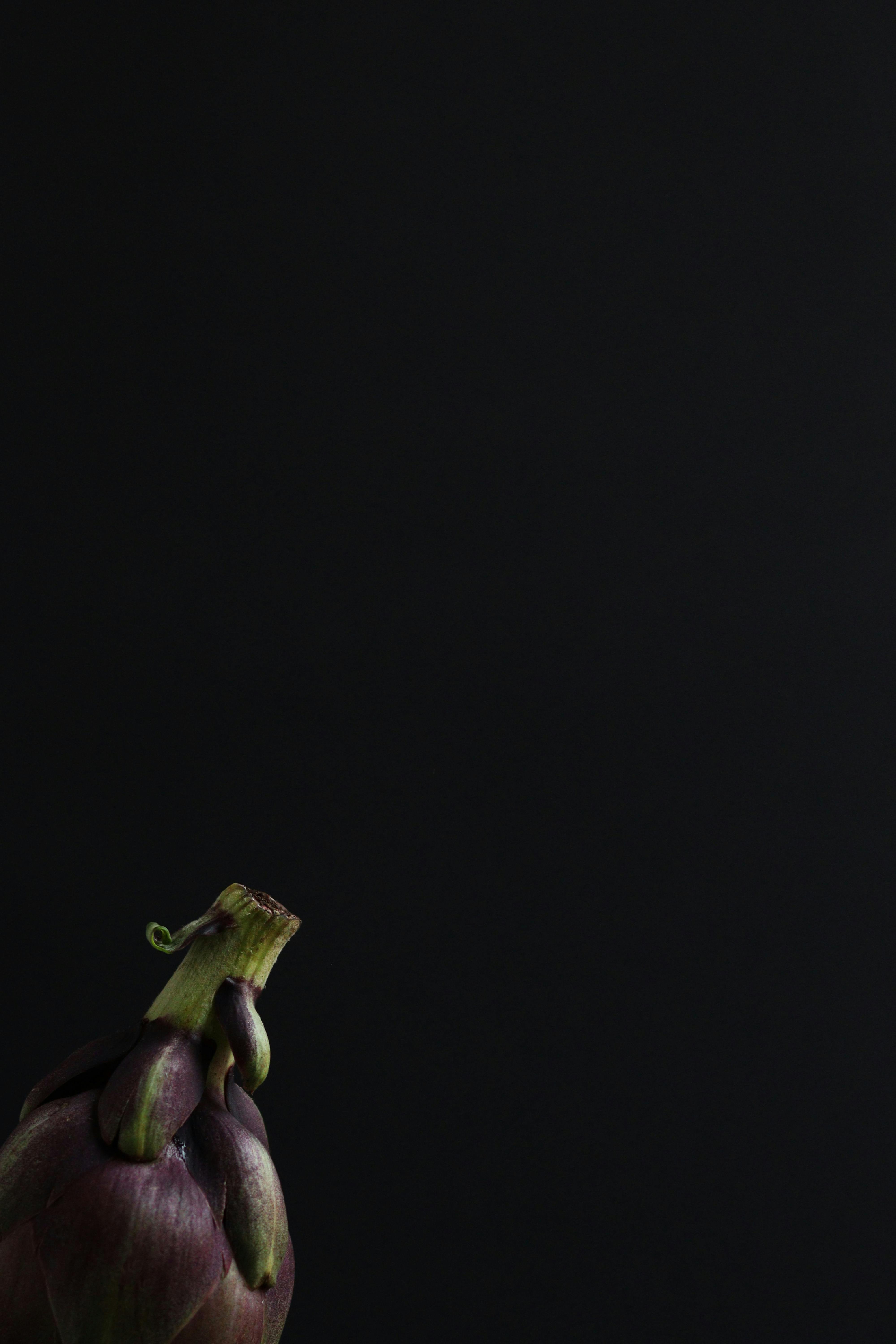 优雅的朝鲜蓟与深色背景搭配，非常适合食品摄影中需要充足留白的场景