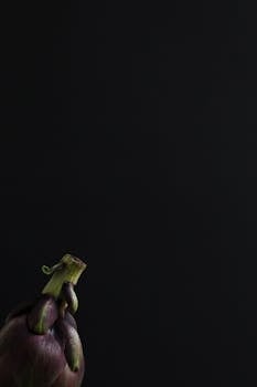 优雅的朝鲜蓟与深色背景搭配，非常适合食品摄影中需要充足留白的场景