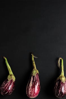 这间极简主义公寓以黑色背景和新鲜的有机茄子为特色