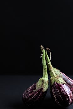 黑色背景下的有机茄子静物，优雅地展示了它们的自然美
