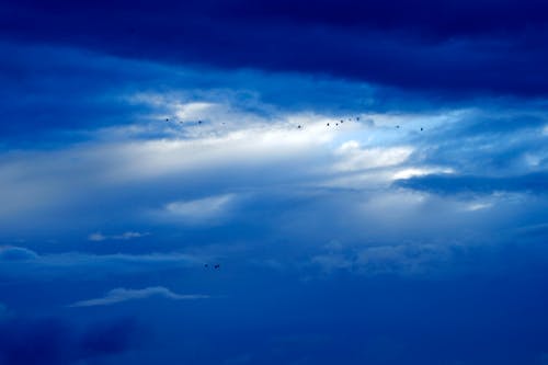 Imagine de stoc gratuită din albastru tapet, cer, cer albastru