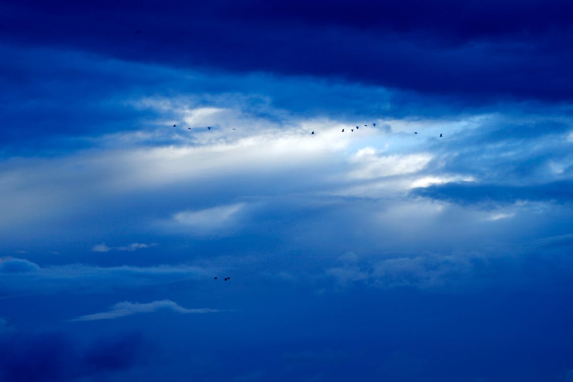 Gratis Nubes Azules Foto de stock