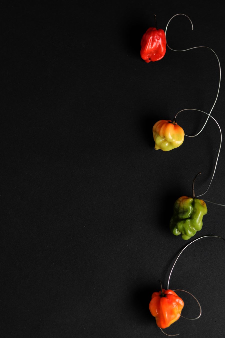 Red, orange and green chilies on a black surface — photo by Mike Murray on Pexels