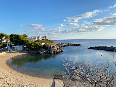 Side by side comparison of ICI and IUI procedures