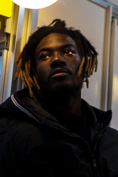 Gratis lagerfoto af afroamerikansk mand, ansigt, dreadlocks