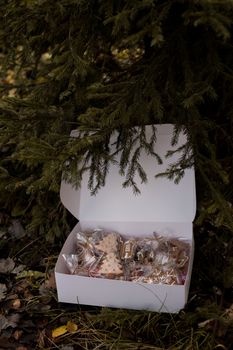 一盒装饰好的姜饼饼干放在圣诞树下，上面带有季节性装饰