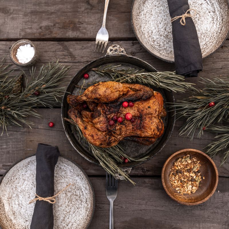Roasted Turkey and Cranberry Panini