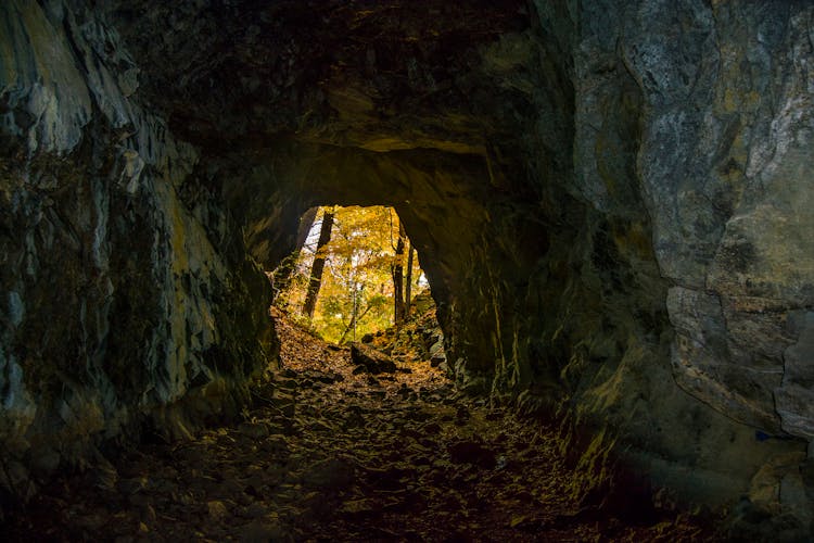 View Of Autumn Forest From Cave