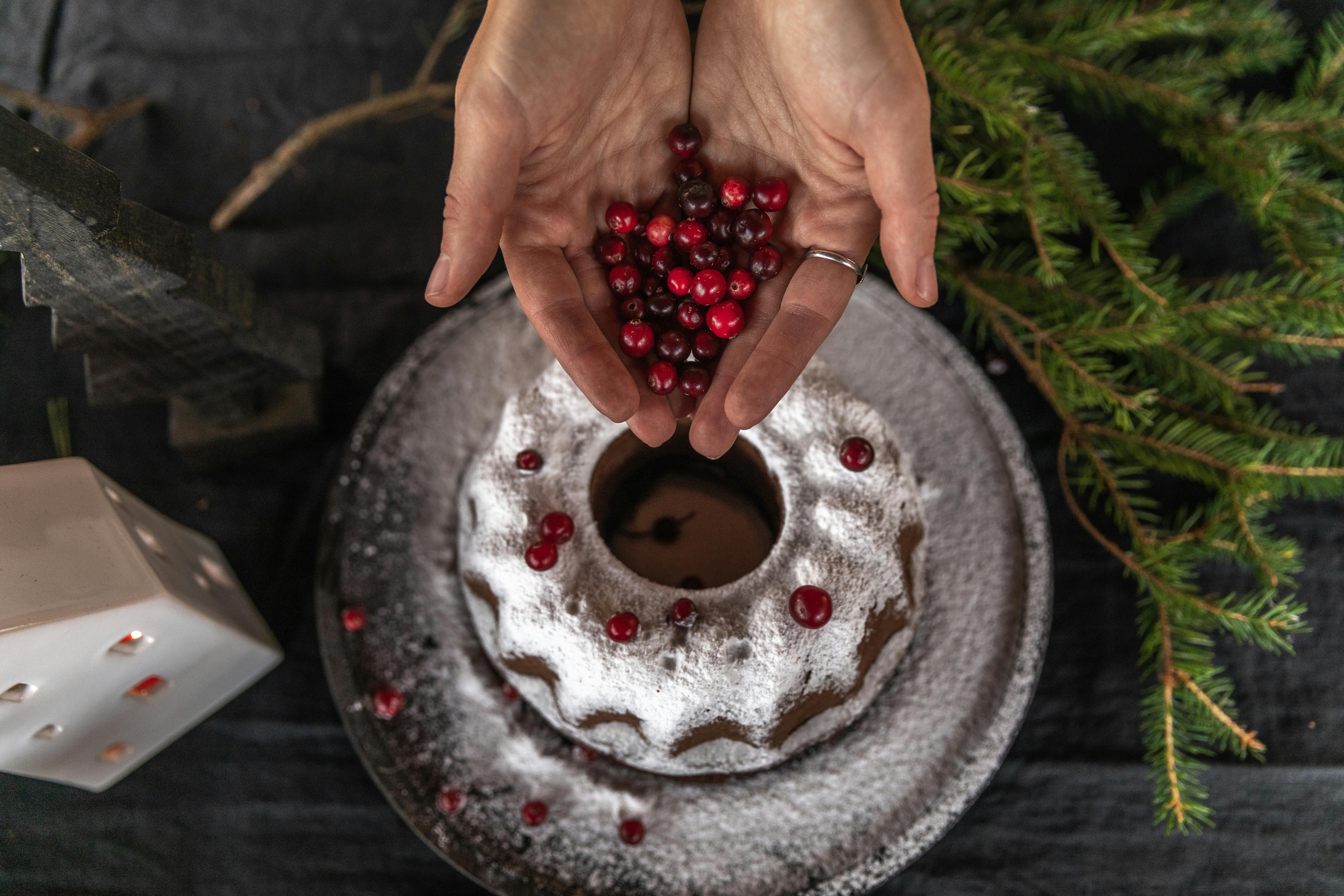 这款粉状凤尾鱼蛋糕带有蔓越莓和松树风味，俯视图非常适合圣诞节