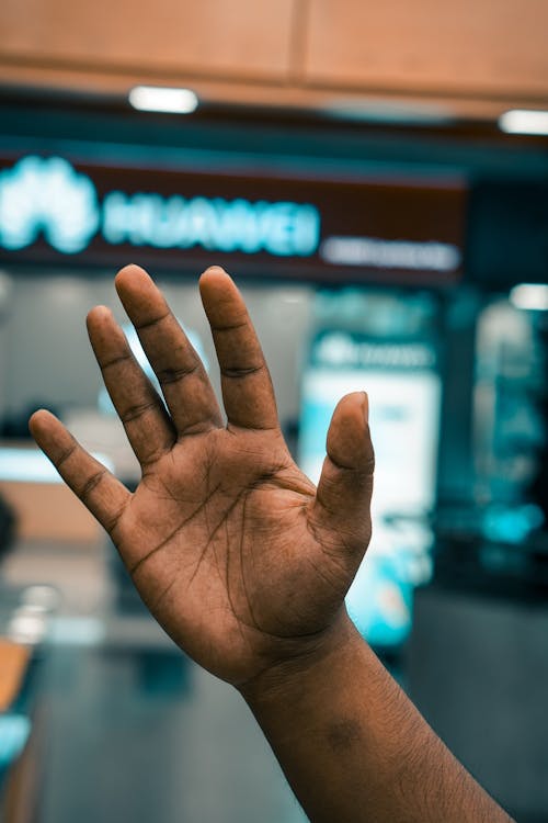 Close-up of a Hand