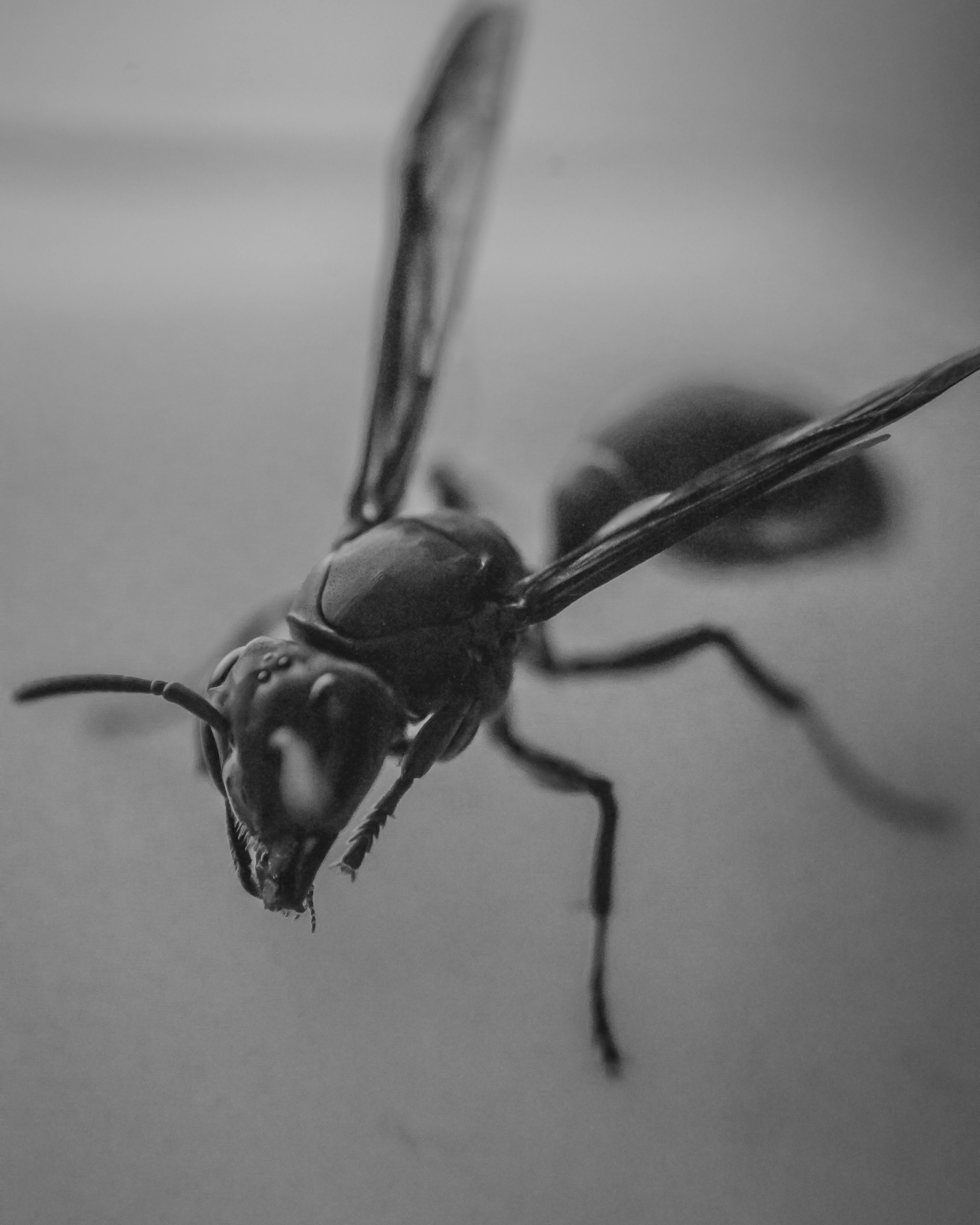 Close-up of a barber meticulously styling a man's beard