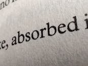 Close-up of Words Printed on Book Page