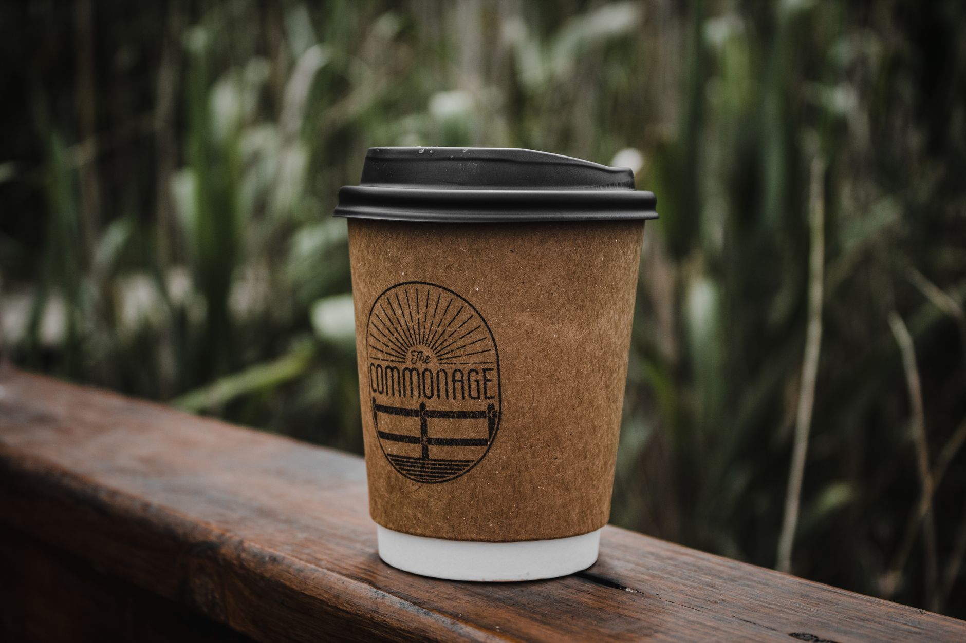 A compostable coffee cup on a wooden surface, surrounded by greenery, emphasizing sustainability.