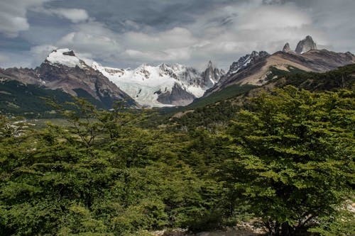 Immagine gratuita di alberi verdi, fotografia aerea, landform