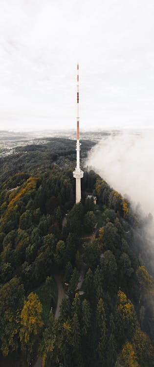 Free stock photo of fog, landscape photography, switzerland