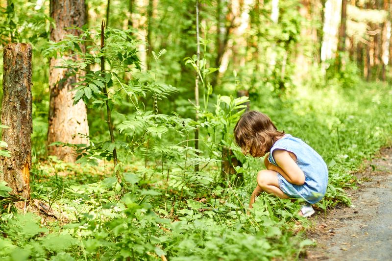 Children discovering plants and wildlife in nature