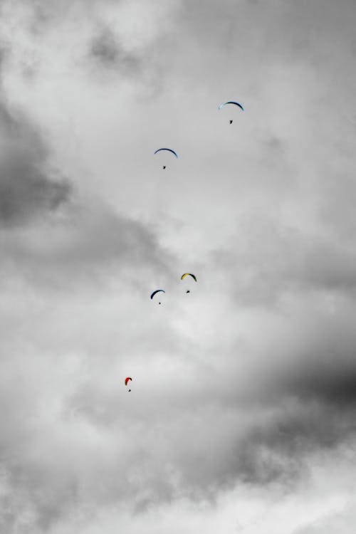 Ingyenes stockfotó ég, ejtőernyők, ejtőernyősök témában Stockfotó