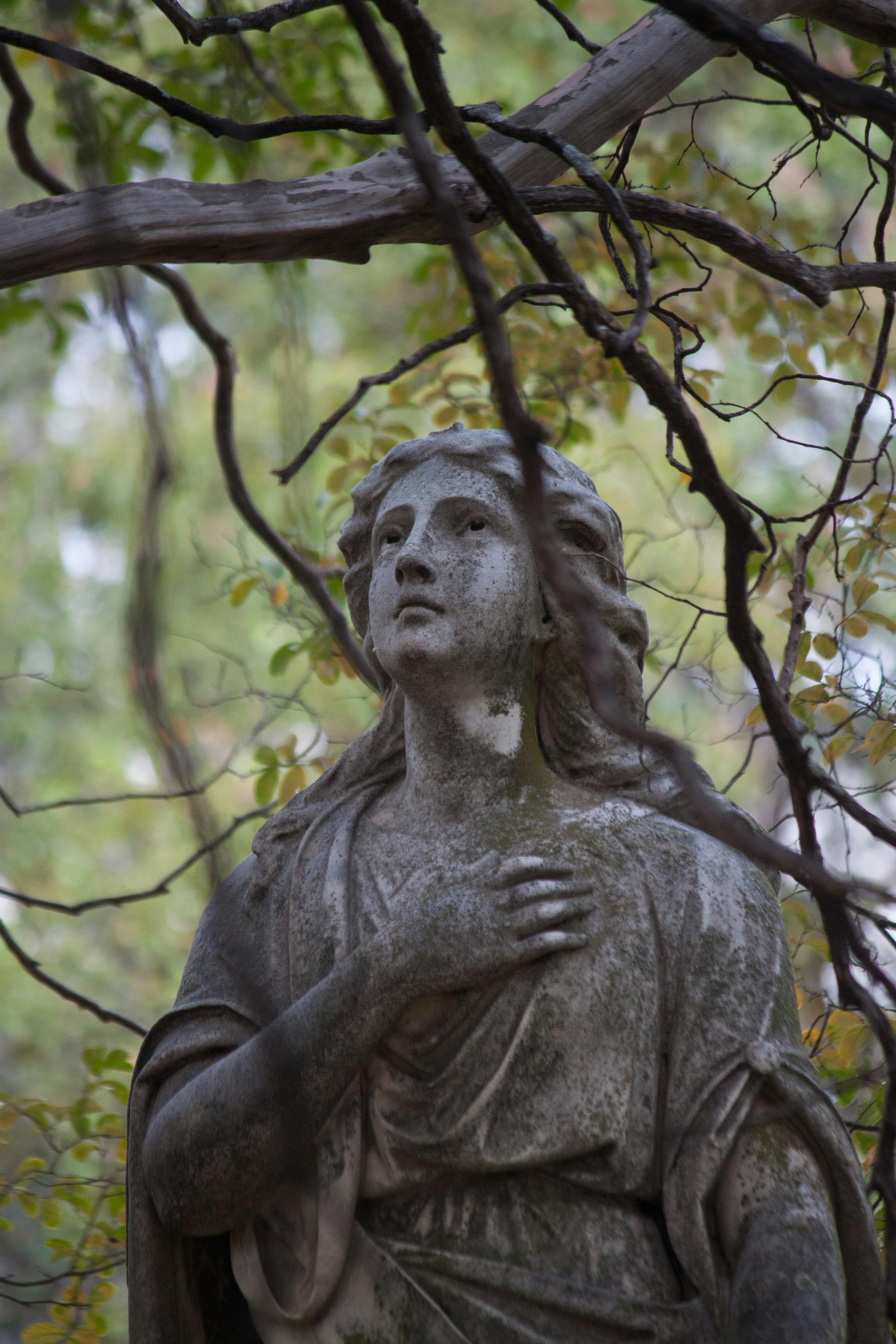 Graveyard Statue Photos, Download The BEST Free Graveyard Statue Stock Photos & HD Images