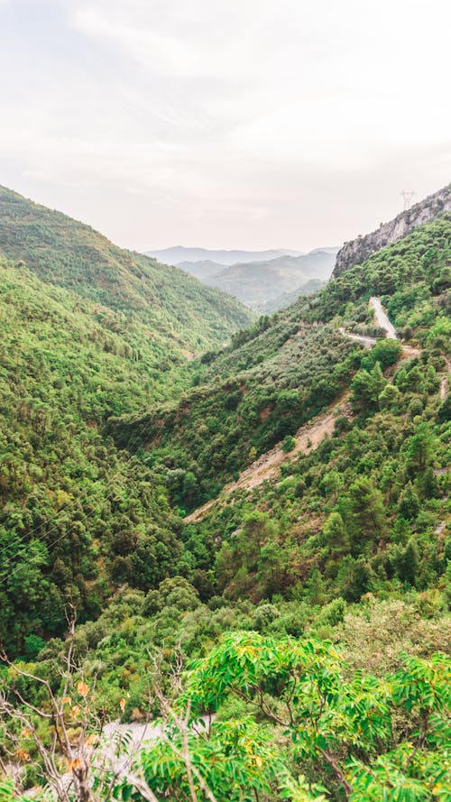 Scenic View of a Mountain