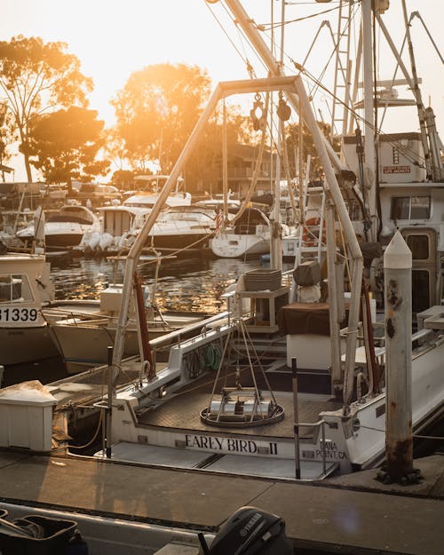 Free A White Fishing Boat on the Dock Stock Photo