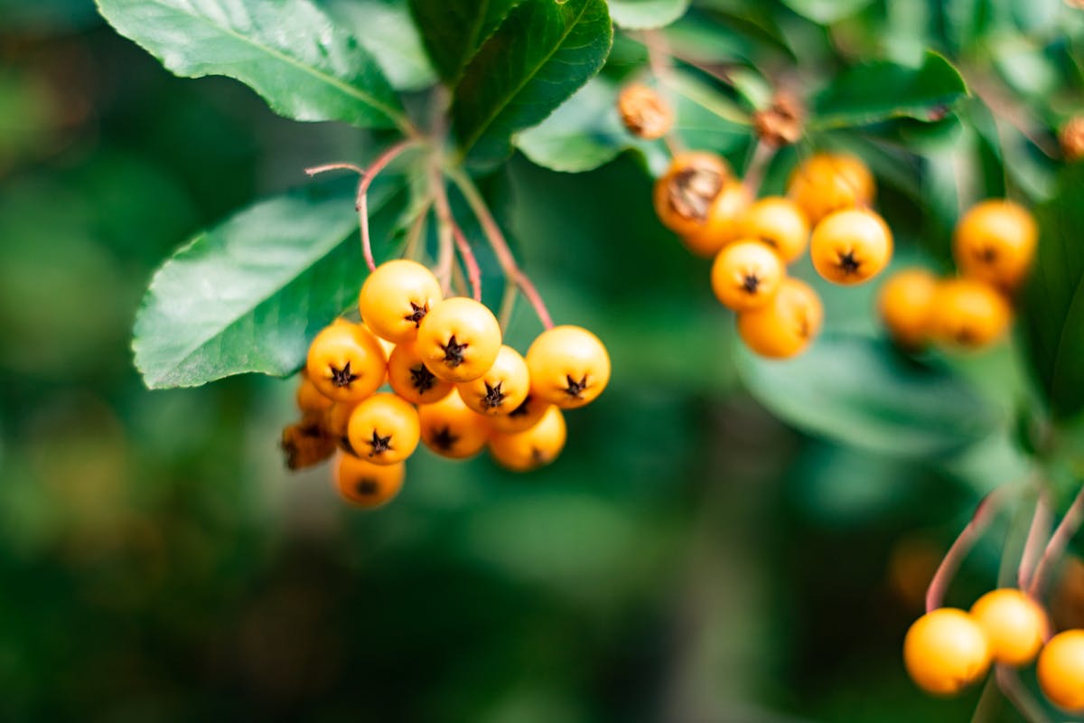 Journalist working at a desk with news on a computer screen