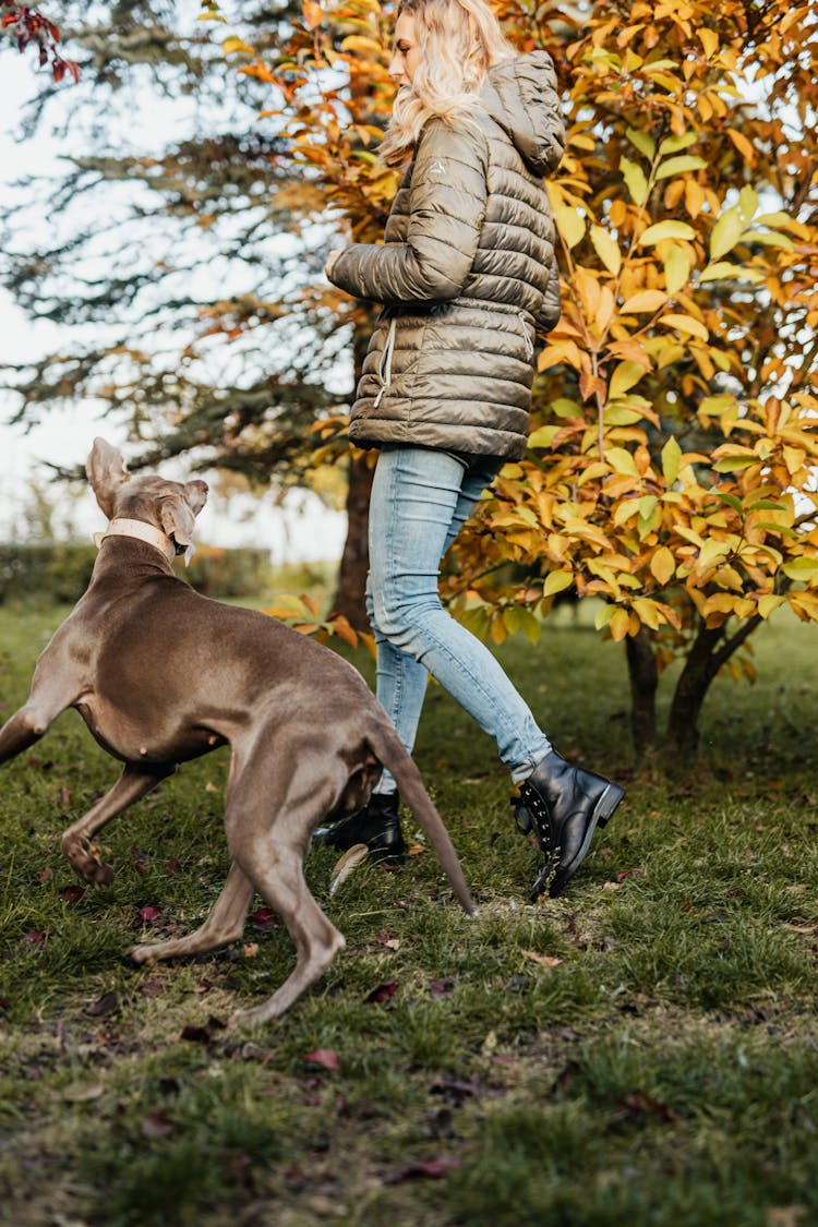 A Woman With Her Pet Dog 