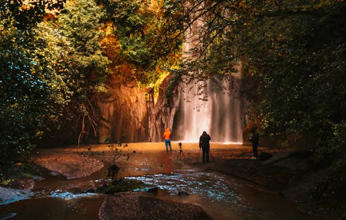 Foto stok gratis di luar rumah, fotografer, hutan