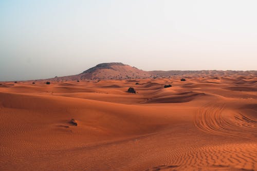 A View of a Desert 