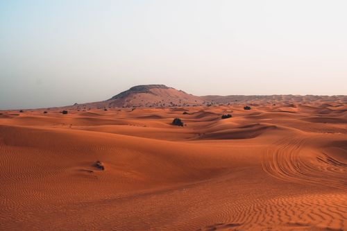 Free Expansive view of golden sand dunes in the Dubai desert under clear skies. Stock Photo